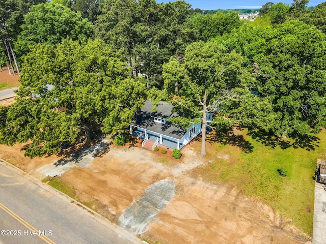 310 Chicopee Rd, Benson, NC 27504 - view of subject property