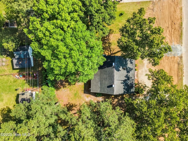 310 Chicopee Rd, Benson, NC 27504 - view from above of property featuring property parcel outlined