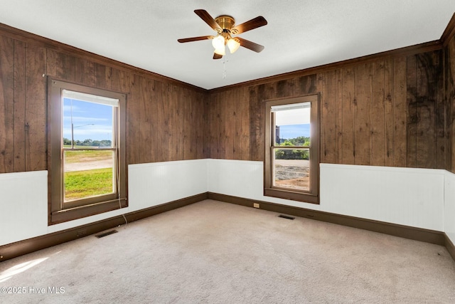 310 Chicopee Rd, Benson, NC 27504 - carpeted empty room with wooden walls, a ceiling fan, and ornamental molding