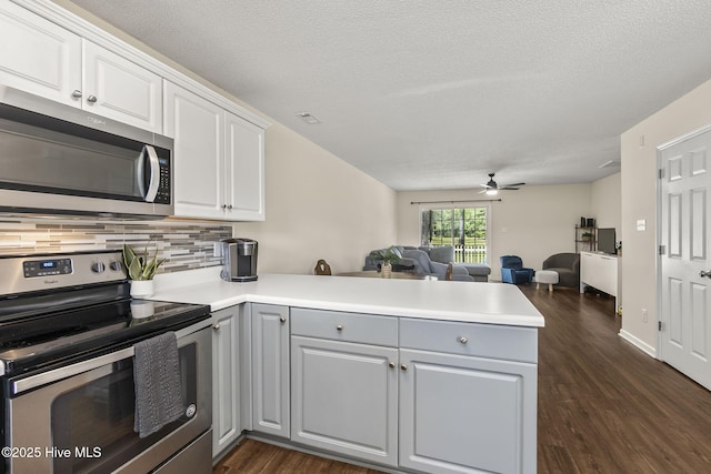 601 Pelletier Loop Rd Unit M76Silver, Creek Townhomes, Peletier, NC 28584 - kitchen with stainless steel appliances, a peninsula, ceiling fan, dark wood-type flooring, and gray cabinetry
