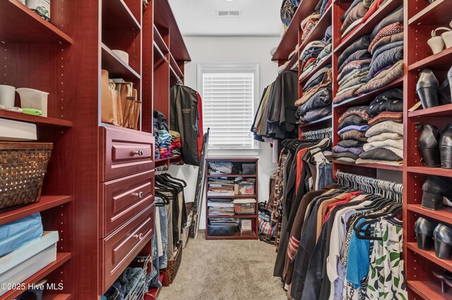 104 River Ct, Wilmington, NC 28412 - spacious closet with carpet floors