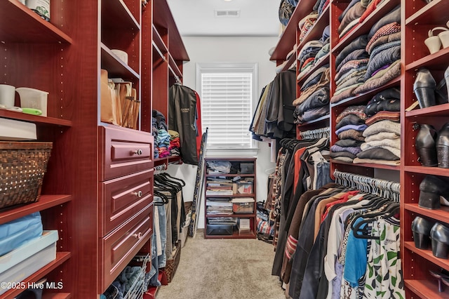 walk in closet with visible vents and carpet