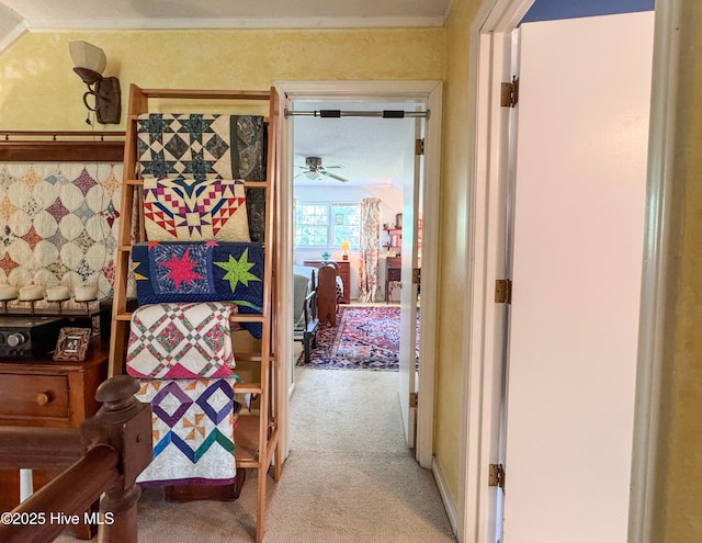 522 Hughes Rd, Hampstead, NC 28443 - hall featuring carpet
