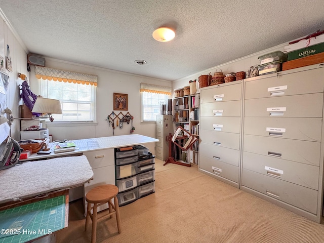 522 Hughes Rd, Hampstead, NC 28443 - office with light colored carpet, a textured ceiling, and ornamental molding