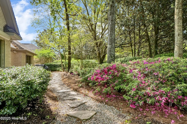 7102 Saybrook Dr, Wilmington, NC 28405 - view of yard