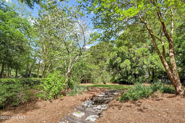7102 Saybrook Dr, Wilmington, NC 28405 - view of yard with a view of trees