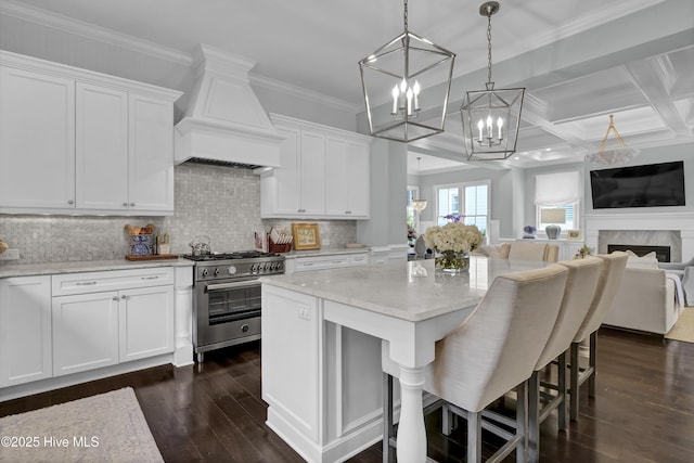 6221 Chalfont Cir, Wilmington, NC 28405 - kitchen with dark wood-style flooring, stainless steel range, an inviting chandelier, premium range hood, and open floor plan