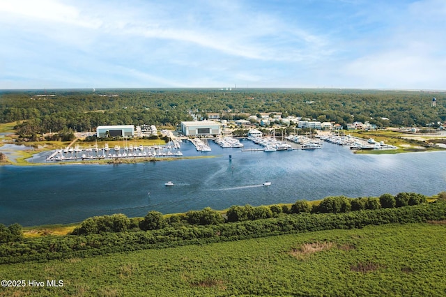 114 N Atlantic Ave, Southport, NC 28461 - aerial view of a large body of water and a forest