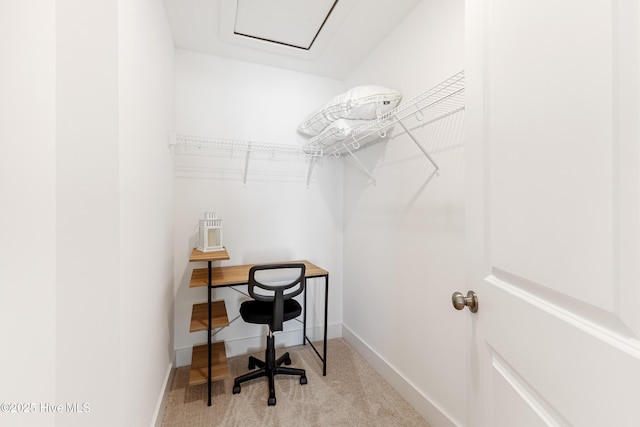 walk in closet featuring carpet floors