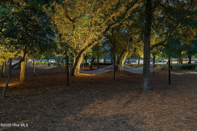 view of community