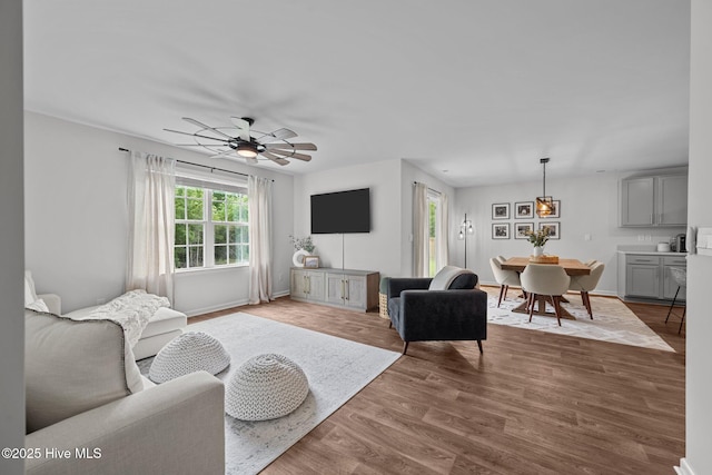 living room featuring wood finished floors, ceiling fan, and baseboards