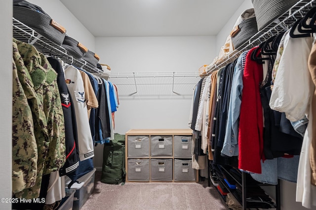 spacious closet with carpet flooring