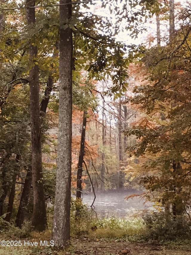 720 Swains Mill Rd, Harrellsville, NC 27942 - view of woods