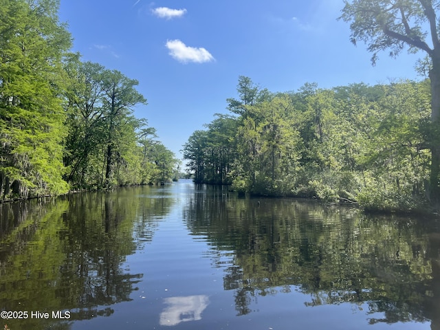 720 Swains Mill Rd, Harrellsville, NC 27942 - water view featuring a forest