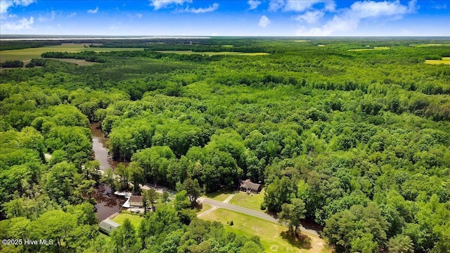 720 Swains Mill Rd, Harrellsville, NC 27942 - drone / aerial view of a forest