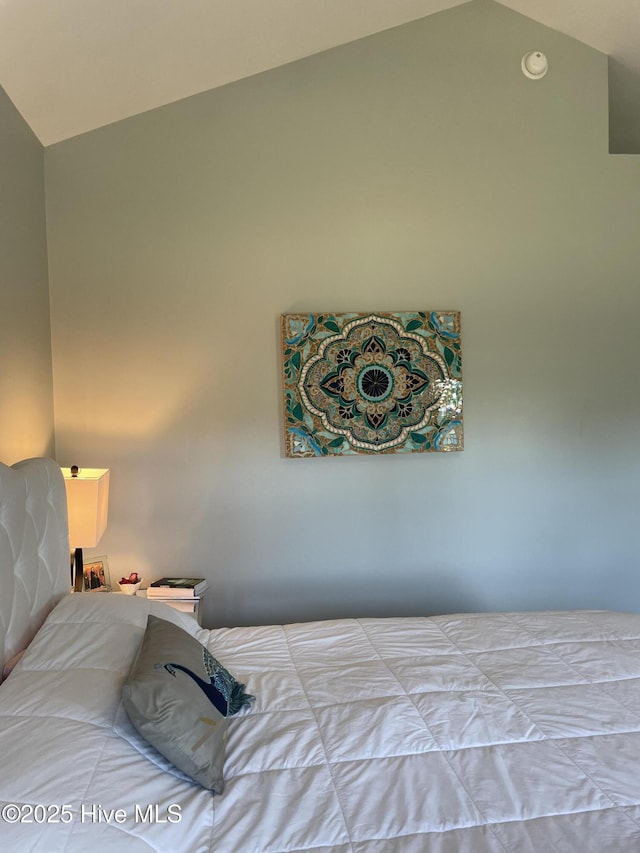 bedroom featuring vaulted ceiling