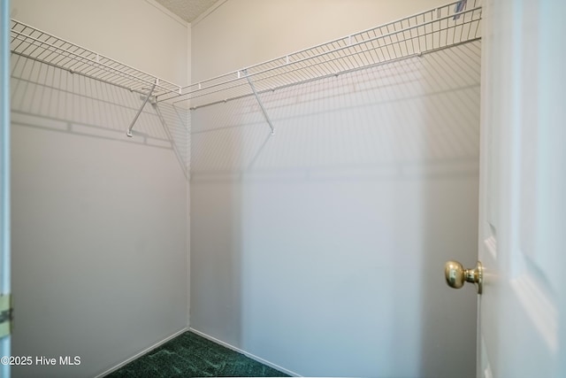 walk in closet with dark colored carpet