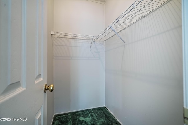 spacious closet with carpet