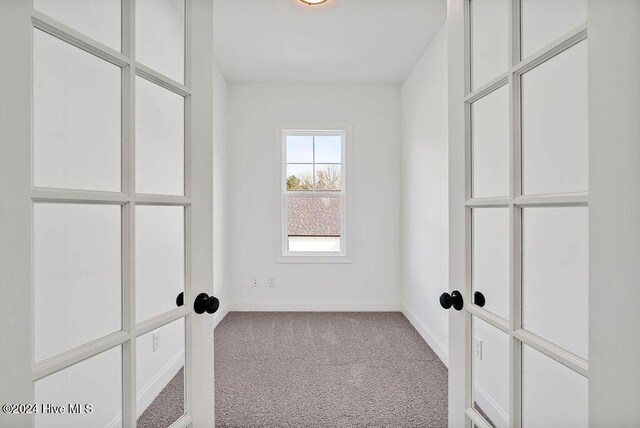 spacious closet featuring carpet flooring