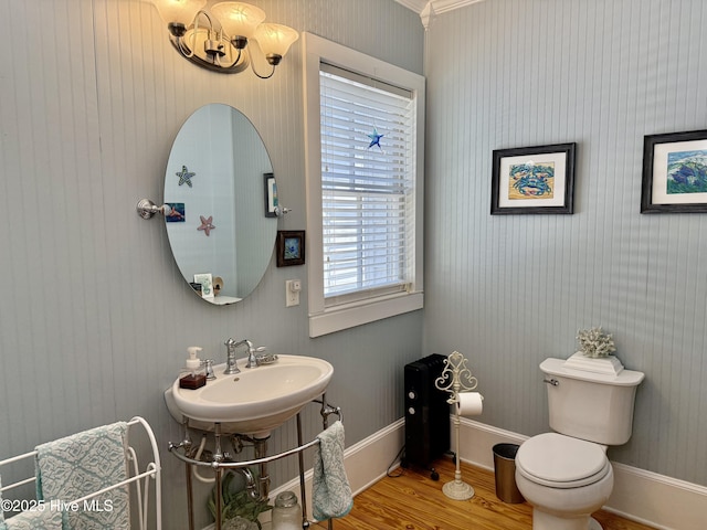 half bath featuring crown molding, a sink, wood finished floors, and toilet