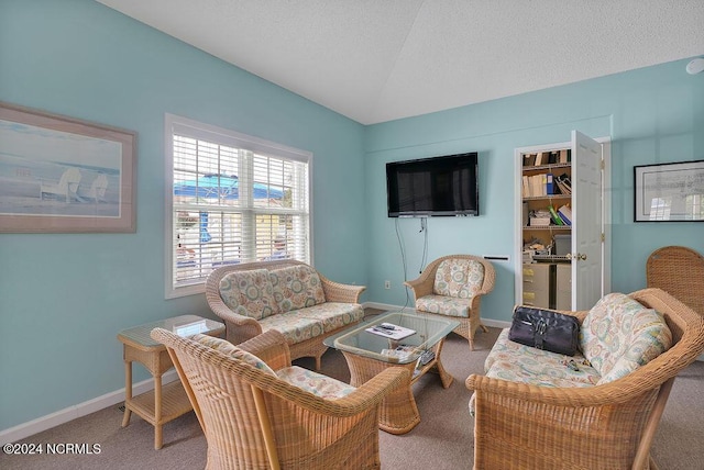 carpeted living area with a textured ceiling, baseboards, and lofted ceiling