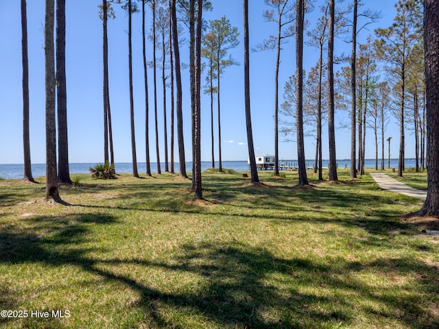 surrounding community featuring a lawn and a water view