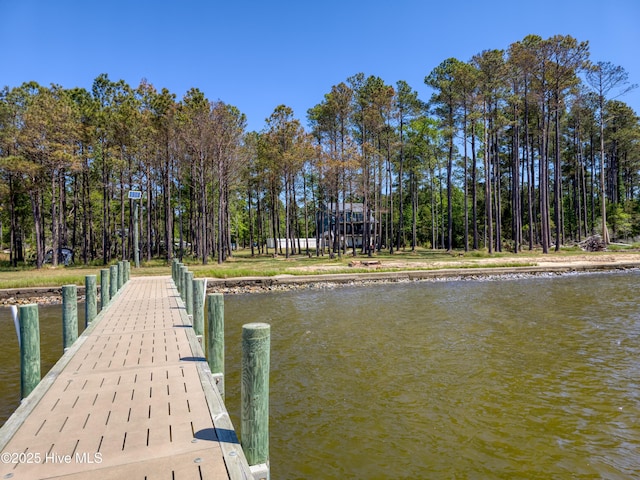 dock area with a water view
