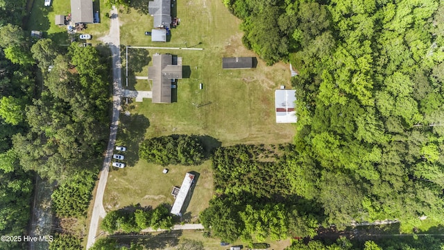 bird's eye view