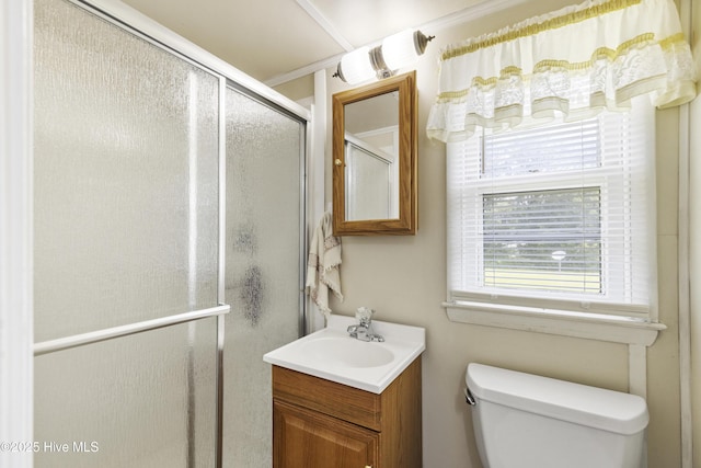 bathroom with vanity, toilet, a wealth of natural light, and a stall shower