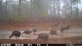 500 Tomahawk Rd, Maple Hill, NC 28454 - exterior space