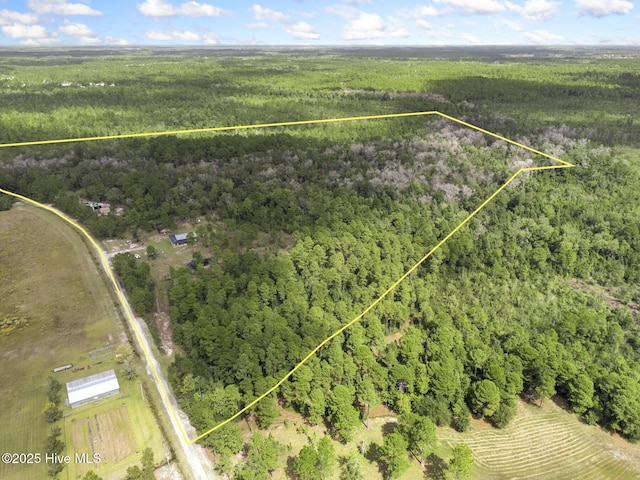 500 Tomahawk Rd, Maple Hill, NC 28454 - aerial view of property and surrounding area with a forest and property parcel outlined