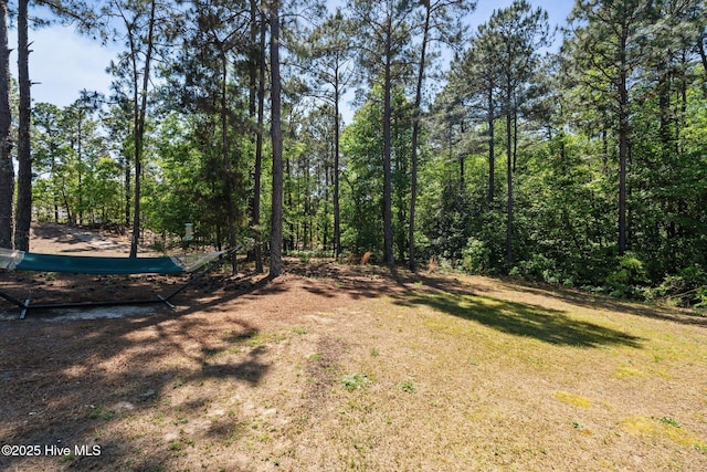 27 Pine Lake Dr, Whispering Pines, NC 28327 - view of grassy yard