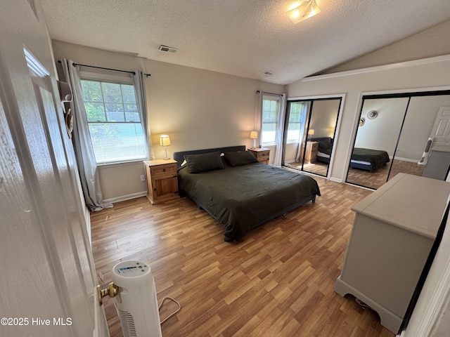 bedroom featuring visible vents, a textured ceiling, two closets, and multiple windows