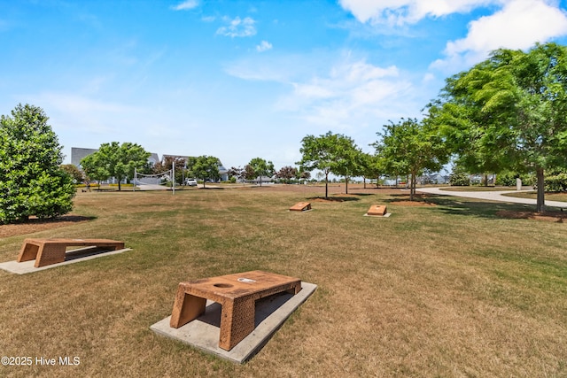 view of community with a yard