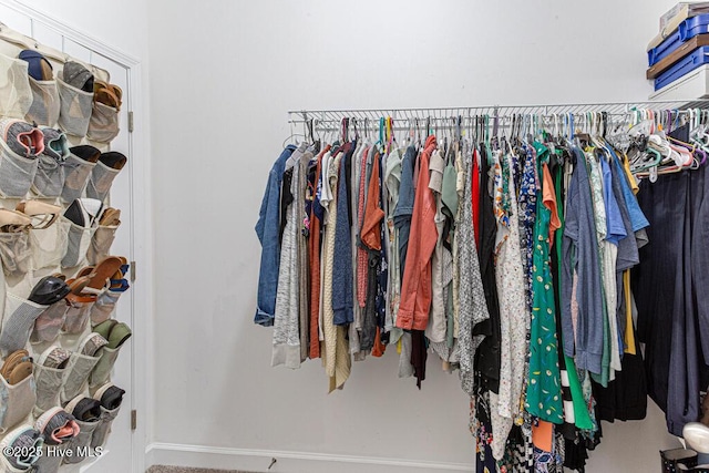 view of walk in closet
