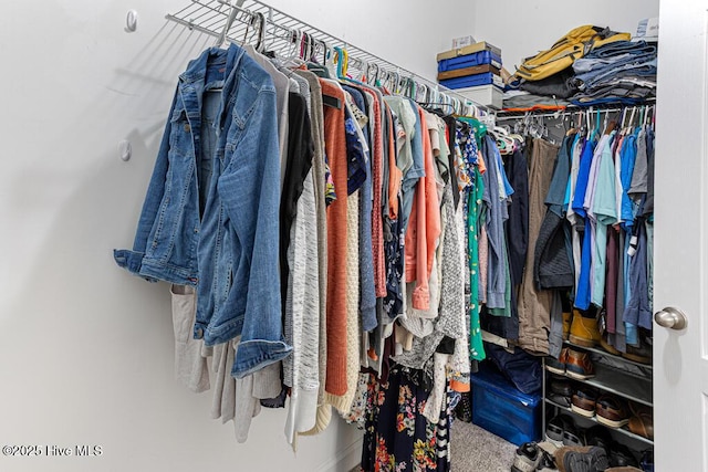 walk in closet featuring carpet floors