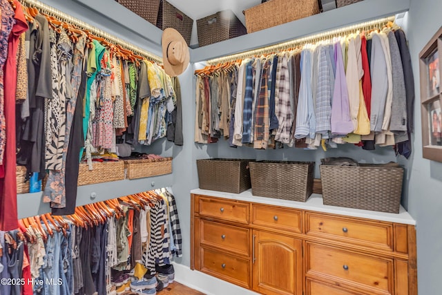 view of walk in closet