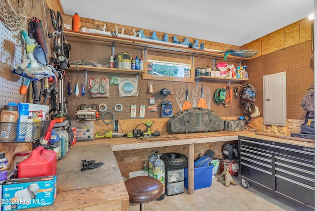 storage room featuring electric panel