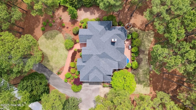 bird's eye view