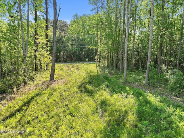 170 Caroon Rd, Poplar Branch, NC 27965