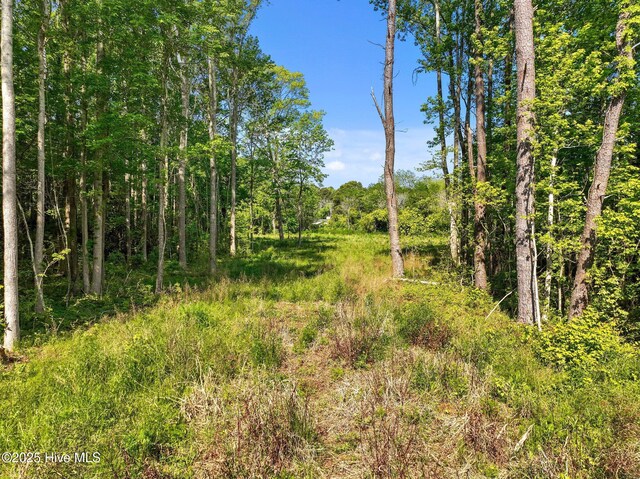 170 Caroon Rd, Poplar Branch, NC 27965