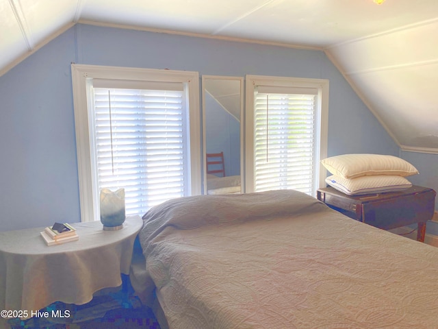 417 Turner St, Beaufort, NC 28516 - bedroom featuring vaulted ceiling