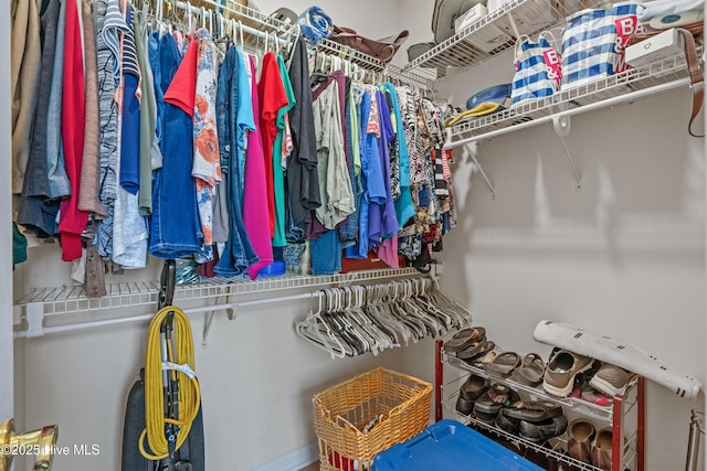 view of spacious closet