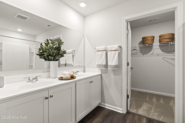 bathroom with a sink, a spacious closet, and visible vents
