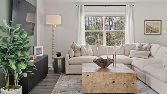 living area with wood finished floors