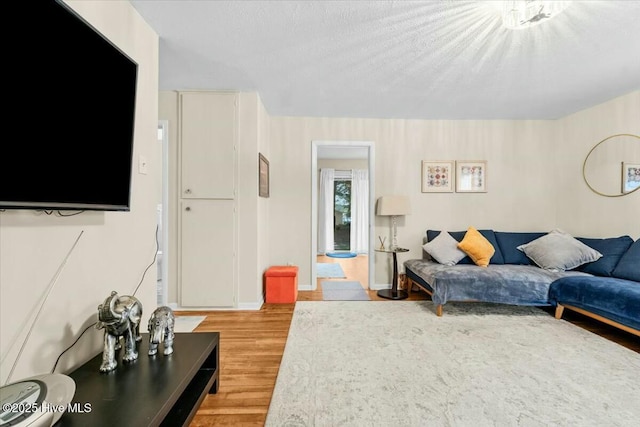 1109 Laurel Ave, Rockingham, NC 28379 - living area with light wood-style floors and a textured ceiling