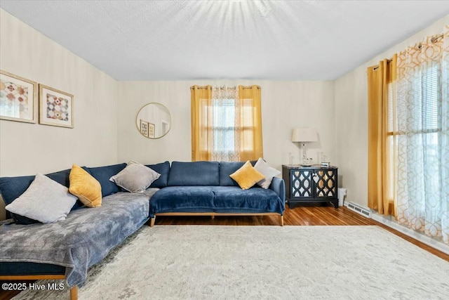 1109 Laurel Ave, Rockingham, NC 28379 - living room featuring wood finished floors