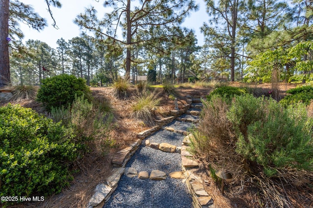 84 Deerwood Ln, Pinehurst, NC 28374 - view of yard