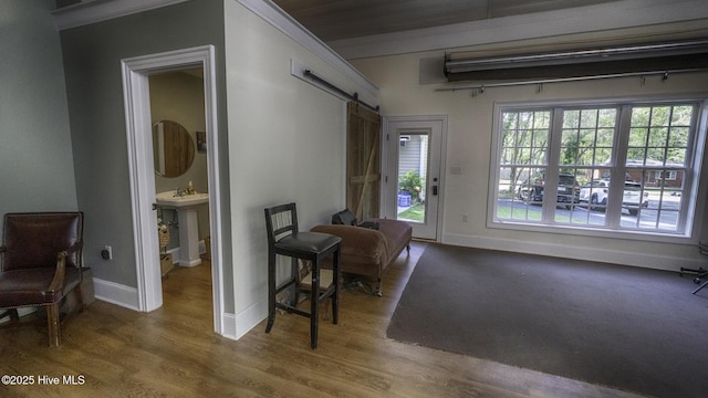1914 Howard Ave, Tarboro, NC 27886 - interior space featuring a sink, a barn door, baseboards, and wood finished floors