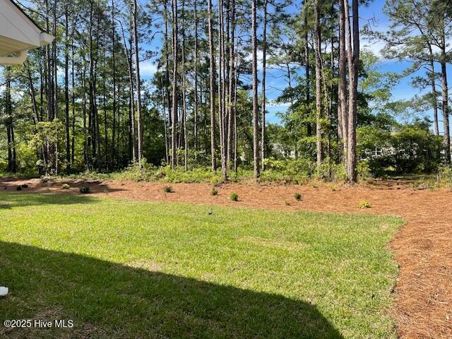 189 Boundaryline Dr NW, Calabash, NC 28467 - view of grassy yard